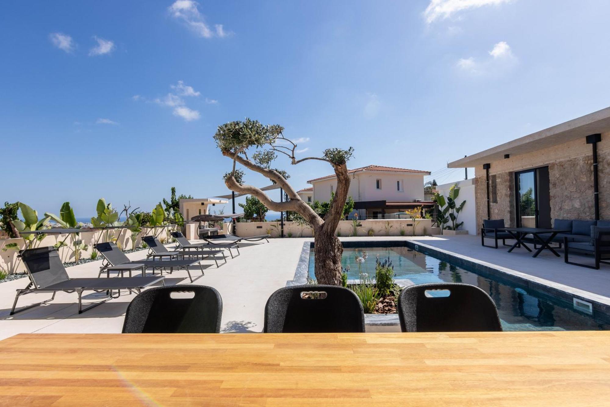 Phaedrus Living Olive Grove Luxury Villa Paphos Eksteriør billede